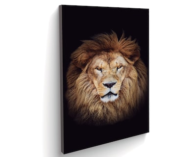 Foto 2 | Retrato de un León Africano Cuadro Entelado 70x120 cm