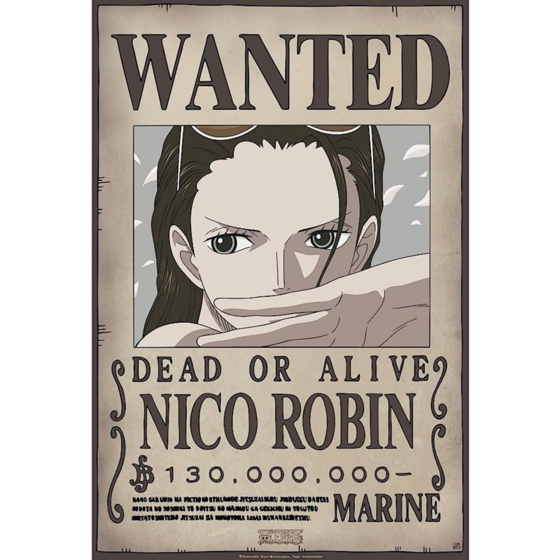 Foto 2 pulgar | Póster One Piece Reward Wanted Nico Robin 28 X 42 Cm - Venta Internacional.