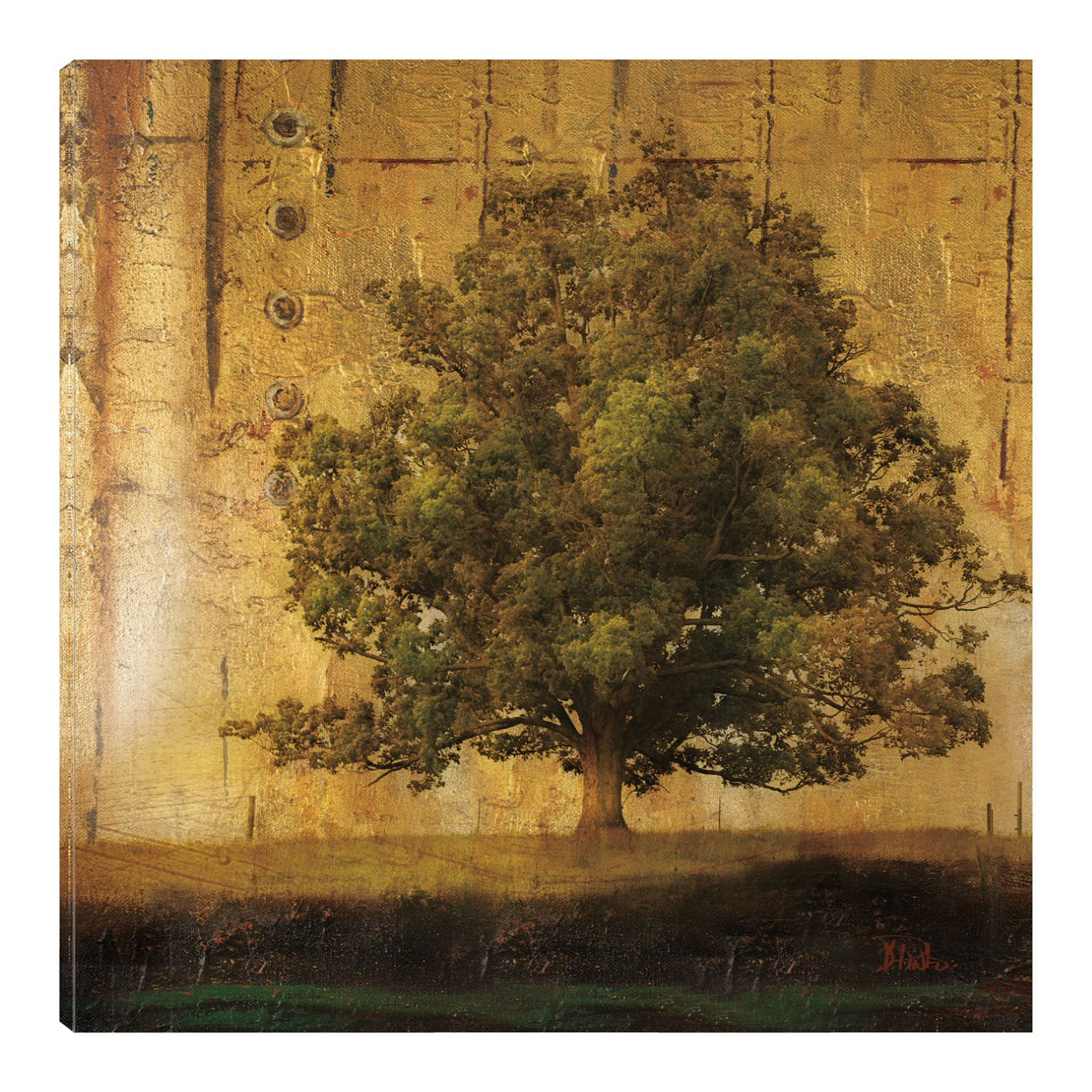 Cuadro Decorativo Fine Art Tj Árbol Envejecido I