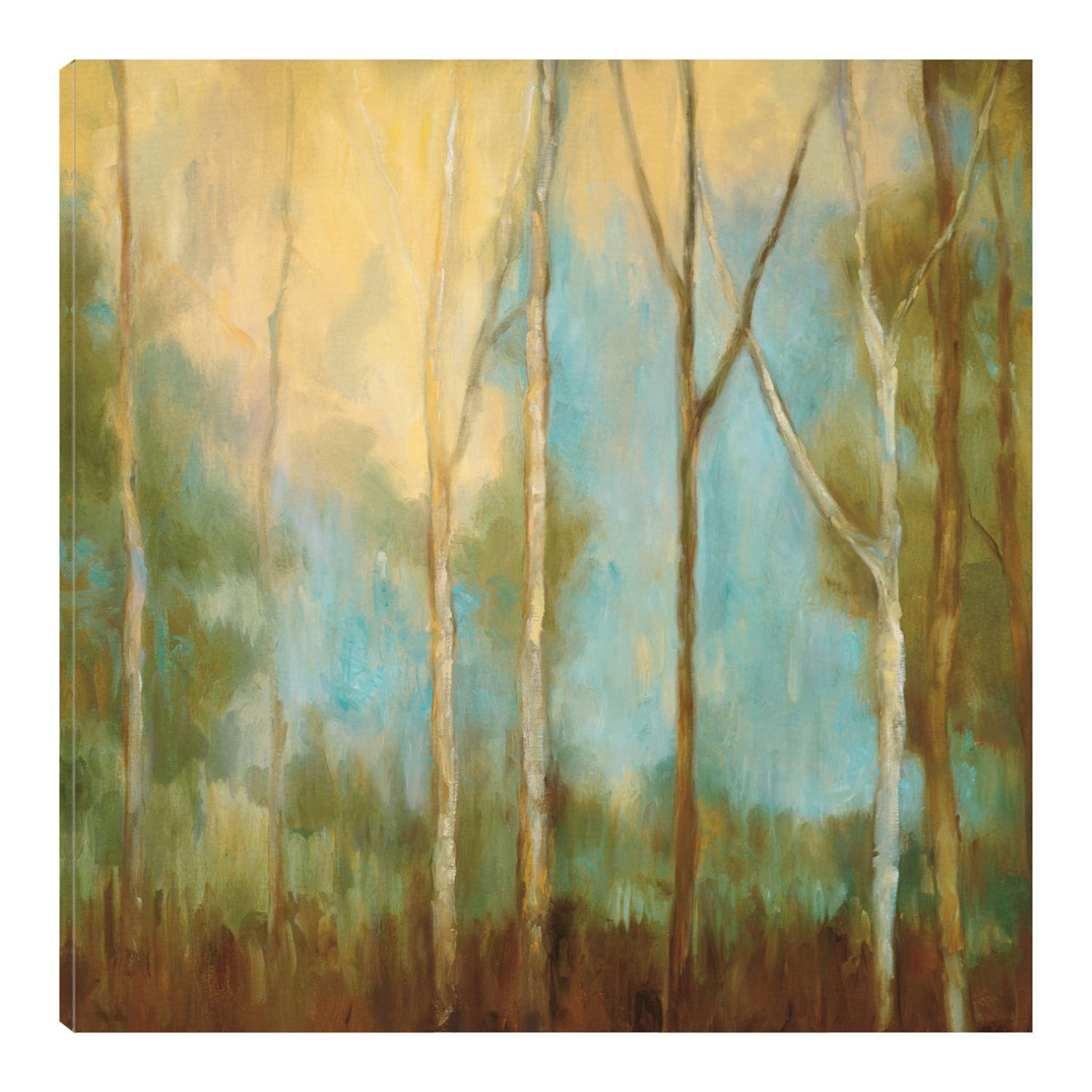 Cuadro Decorativo Fine Art TJ 'Árboles Desnudos II' de Kristy Mitchell 94 x 94 cm