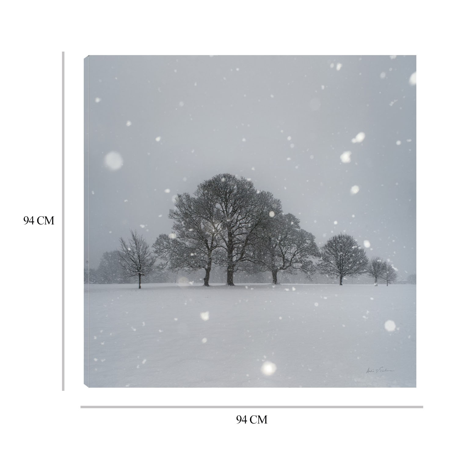 Foto 9 pulgar | Cuadro Decorativo Fine Art TJ 'Árboles en la Nieve' de Andre Eichman 94 x 94 cm