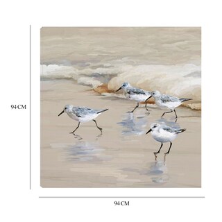 Foto 8 | Cuadro Decorativo - Andarríos En Playa I Ámbar - Studio Arts - Arte Animales - Impresión En Lienzo - Fine Art Tj