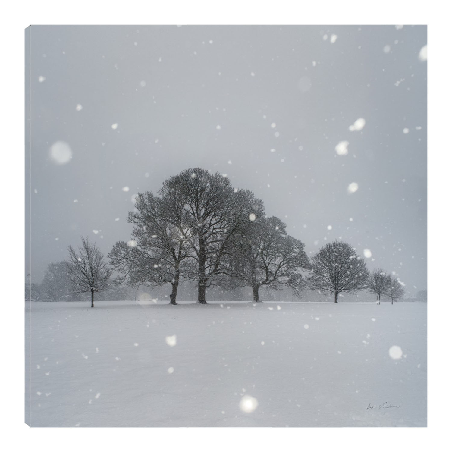 Foto 2 pulgar | Cuadro Decorativo Fine Art TJ 'Árboles en la Nieve' de Andre Eichman 82 x 82 cm