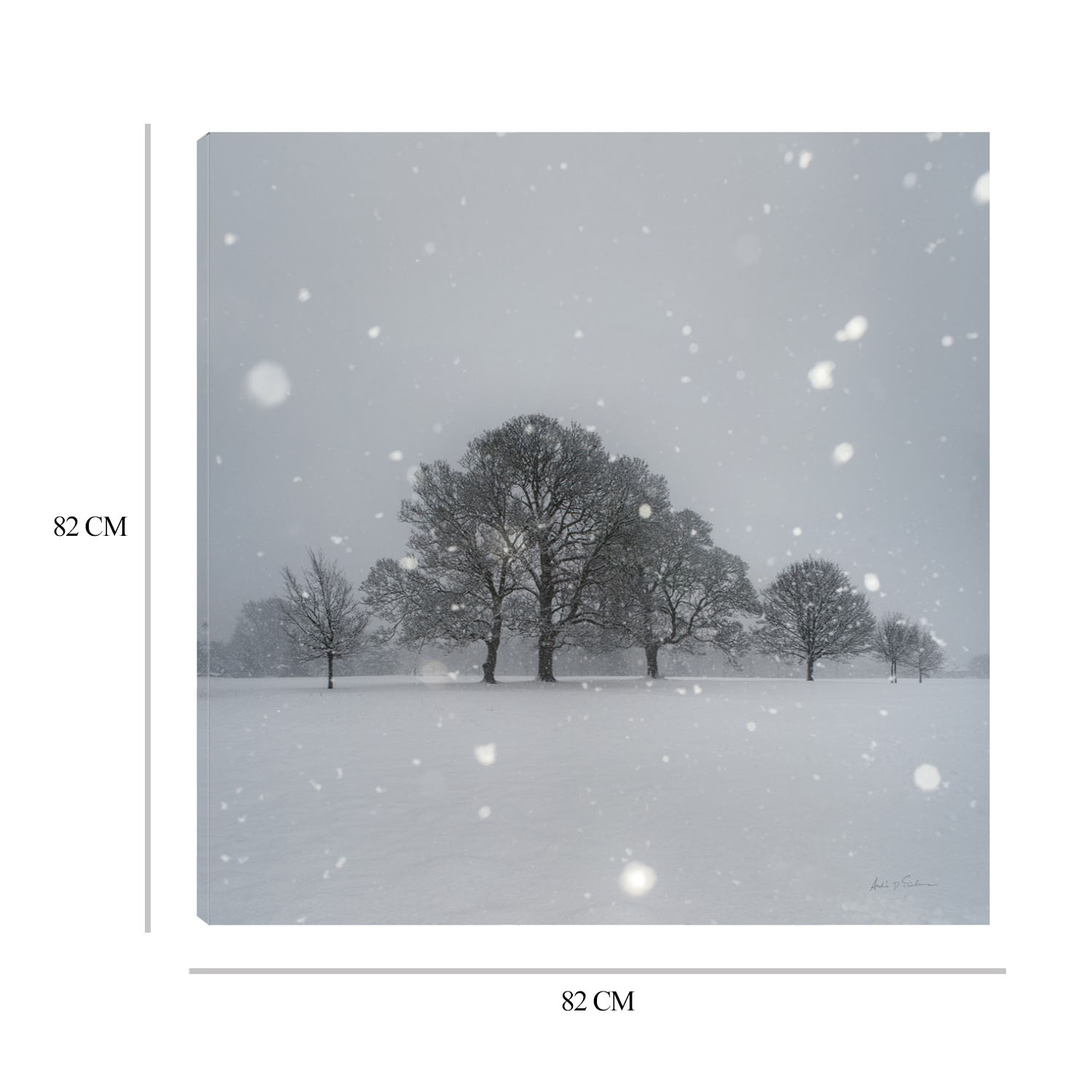 Foto 9 pulgar | Cuadro Decorativo Fine Art TJ 'Árboles en la Nieve' de Andre Eichman 82 x 82 cm