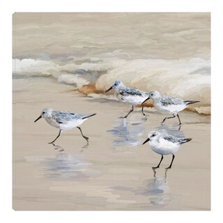 Foto 1 | Cuadro Decorativo - Andarríos En Playa I Ambar - Studio Arts - Arte Animales - Impresión En Lienzo - Fine Art Tj