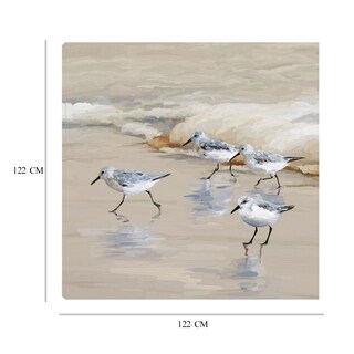 Foto 8 | Cuadro Decorativo - Andarríos En Playa I Ambar - Studio Arts - Arte Animales - Impresión En Lienzo - Fine Art Tj