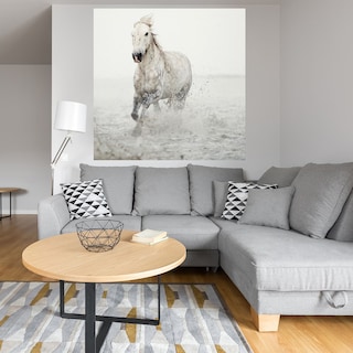 Foto 4 | Cuadro Decorativo - Cabalgata - Irene Suchocki - Fine Art Tj - Arte Moderno - Impresión En Lienzo