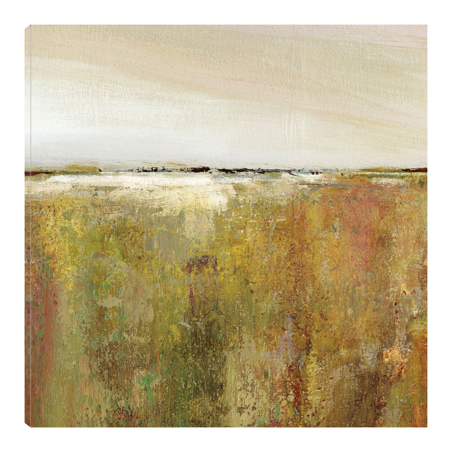 Cuadro Decorativo Fine Art Tj Campos de Ensueño Carol Robinson
