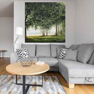 Foto 4 | Cuadro Decorativo - Camino A La Orilla Del Lago Ii - Fine Art Tj - Bruce Nawrocke - Arte Moderno - Impresión En Lienzo