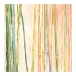 Cuadro Decorativo Fine Art Tj Bambú Ii Dina D'argo