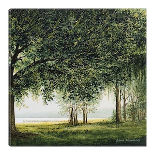 Foto 1 | Cuadro Decorativo - Camino A La Orilla Del Lago Ii - Fine Art Tj - Bruce Nawrocke - Arte Moderno - Impresión En Lienzo