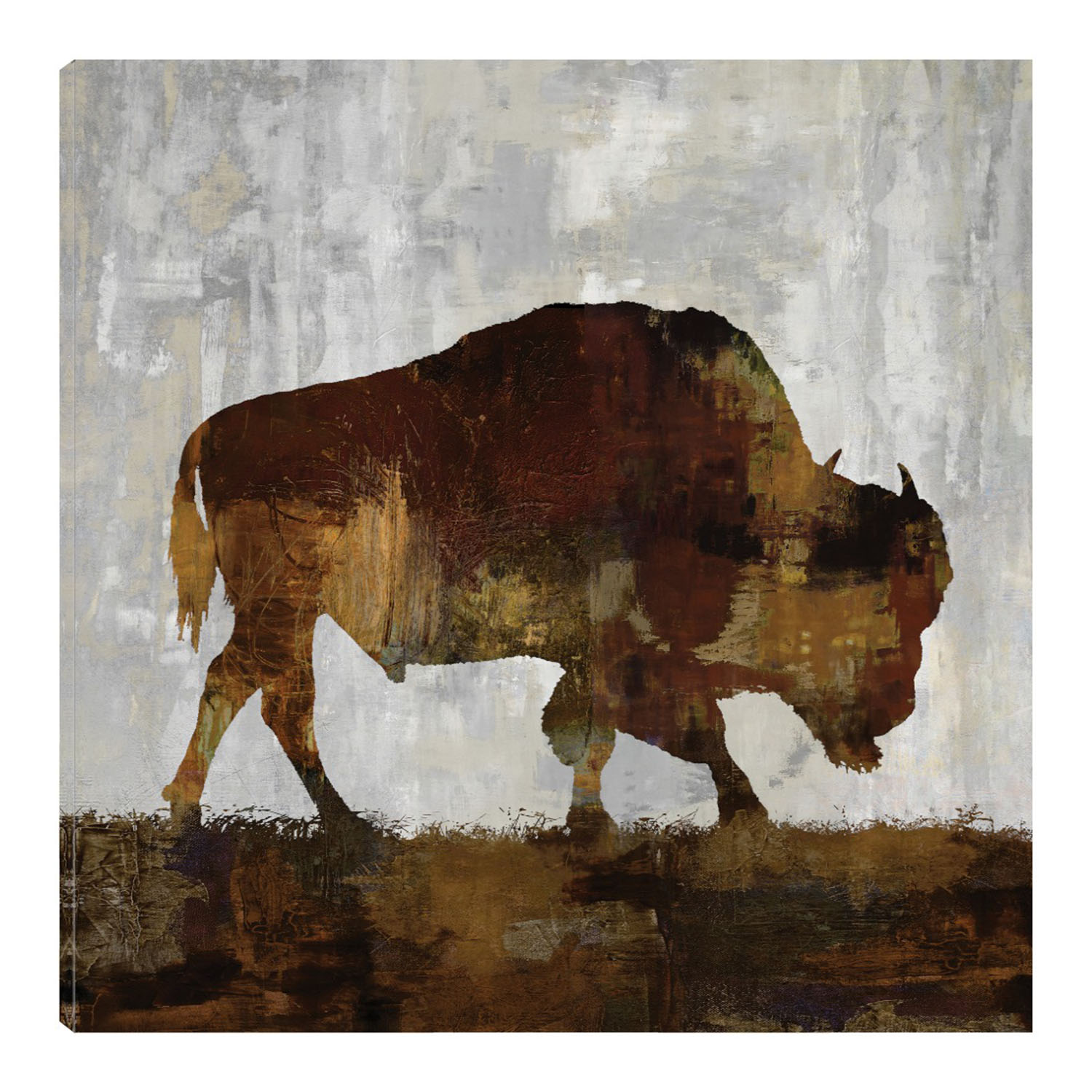 Cuadro Decorativo - Bisonte - Fine Art Tj - Carl Colburn  - Arte Moderno - Impresión En Lienzo