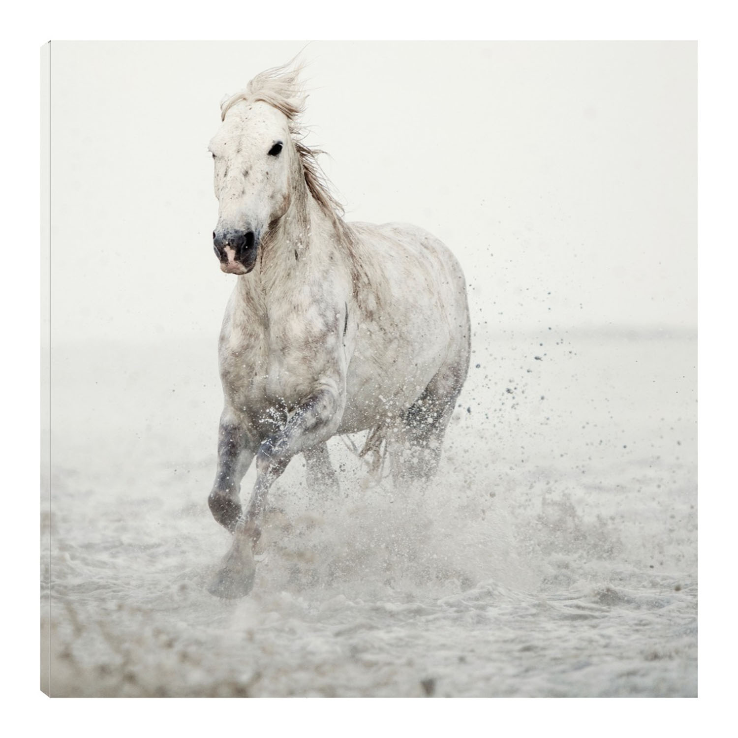 Foto 1 | Cuadro Decorativo - Cabalgata -  Fine Art Tj - Irene Suchocki  - Arte Moderno - Impresión En Lienzo