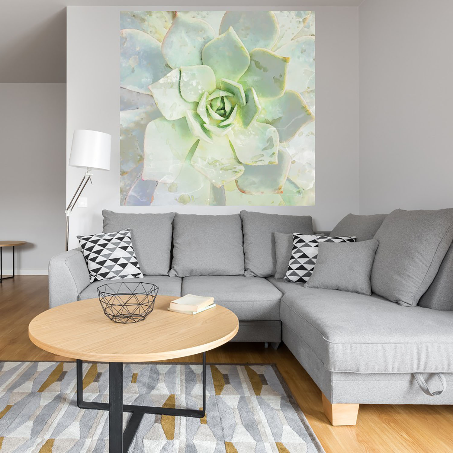 Foto 4 | Cuadro Decorativo Fine Art TJ 'Belleza de las Suculentas' de Irene Orlove 82 x 82 cm