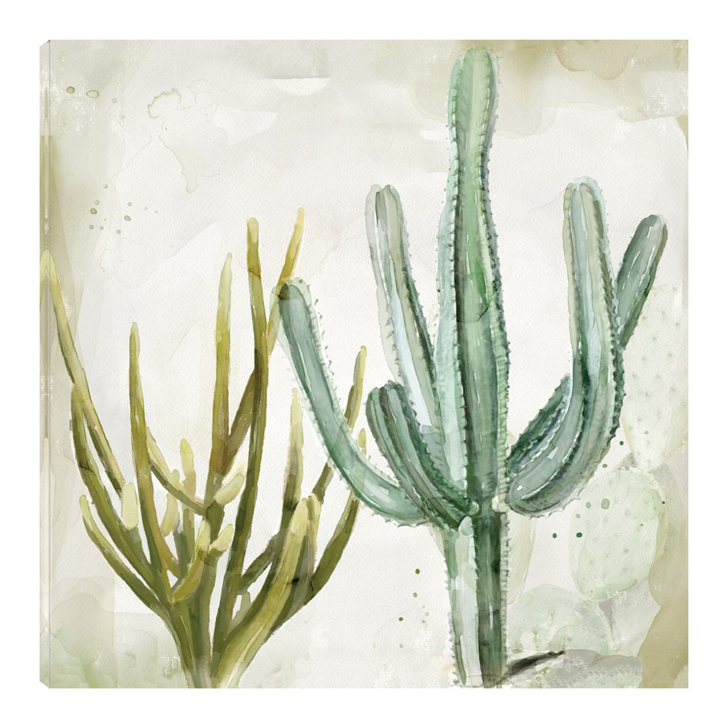 Foto 1 | Cuadro Decorativo - Cactus En Acuarela Ii - Heather Hayes  - Arte Moderno - Impresión En Lienzo - Fine Art Tj