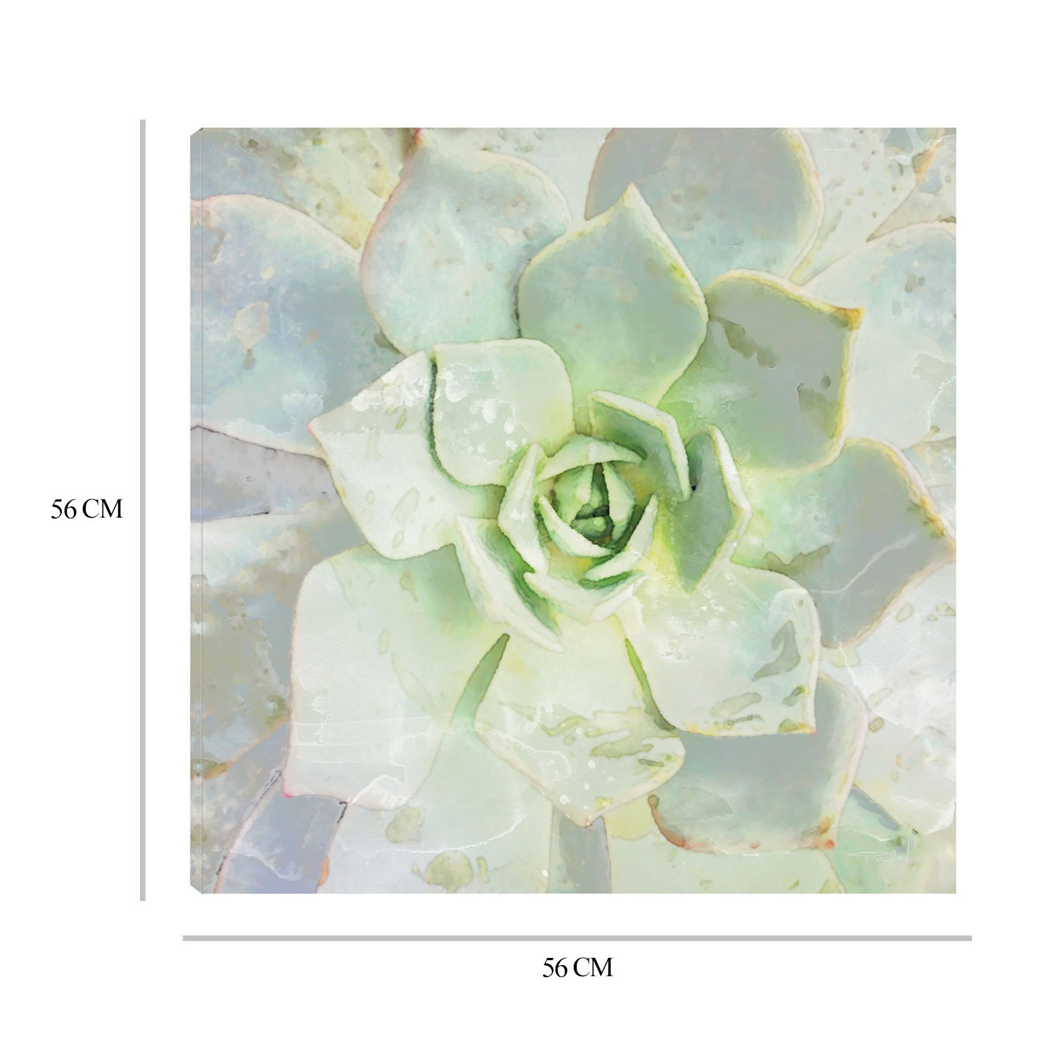 Foto 6 | Cuadro Decorativo Fine Art TJ 'Belleza de las Suculentas' de Irene Orlove 56 x 56 cm