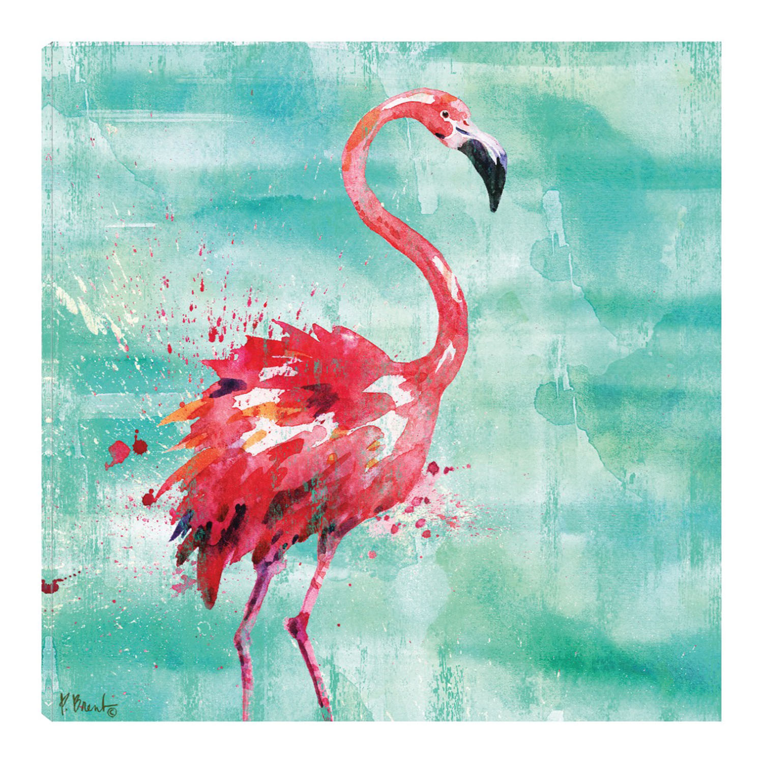 Cuadro Decorativo - Flamingo De Arianna I - Turquesa - Paul Brent  - Arte Animales - Impresión En Lienzo - Fine Art Tj