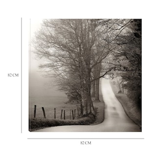 Foto 6 | Cuadro Decorativo - Camino Al Bosque - Nicholas Bell - Arte Paisaje - Impresión En Lienzo - Fine Art Tj