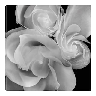 Foto 1 | Cuadro Decorativo - Floral 19 - Michael Faragher - Arte Floral - Impresión En Lienzo - Fine Art Tj