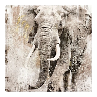 Foto 1 | Cuadro Decorativo - Elefante De Retrato De Marfil - Heather Hayes - Arte Animales - Impresión En Lienzo - Fine Art Tj