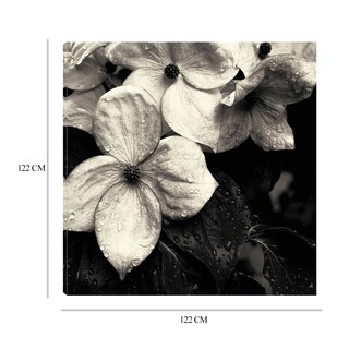 Foto 6 | Cuadro Decorativo - Flor De Cornejo No.3 - Gary Horsfall - Arte Floral - Impresión En Lienzo - Fine Art Tj