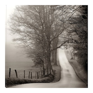 Foto 1 | Cuadro Decorativo - Camino Al Bosque - Nicholas Bell - Arte Paisaje - Impresión En Lienzo - Fine Art Tj