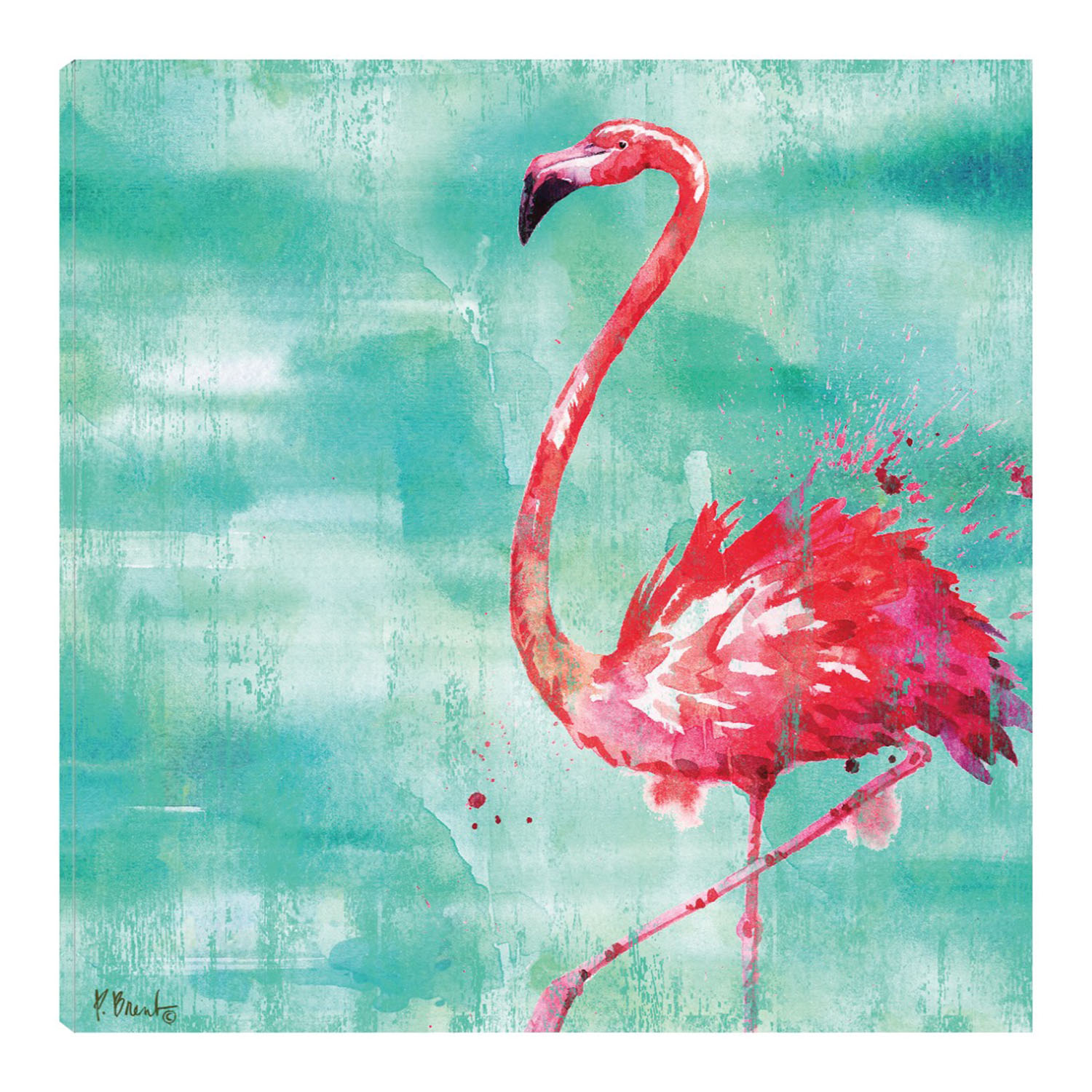 Cuadro Decorativo - Flamingo De Arianna Ii - Turquesa - Paul Brent  - Arte Animales - Impresión En Lienzo - Fine Art Tj