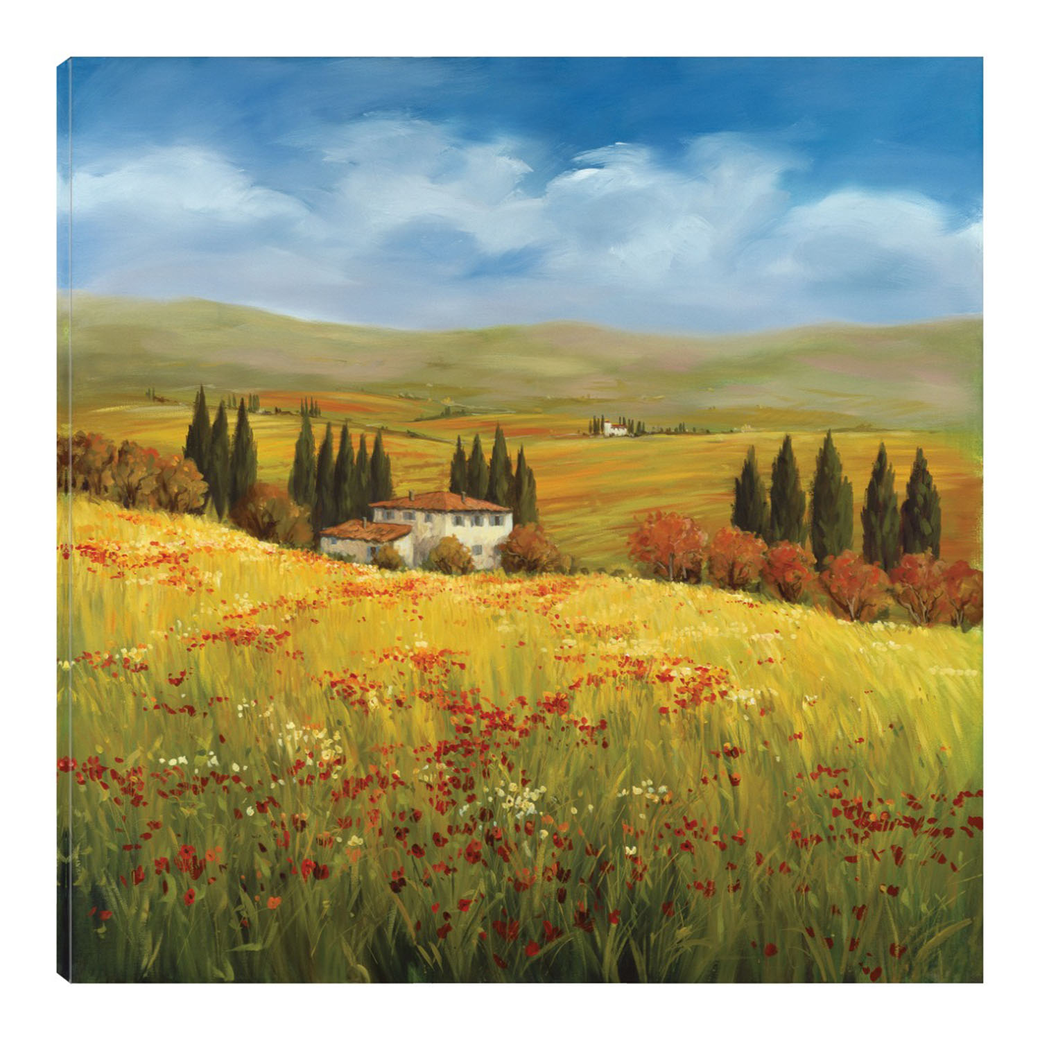 Cuadro Decorativo - Esplendor De La Toscana - Tim Howe  - Arte Paisaje - Impresión En Lienzo - Fine Art Tj