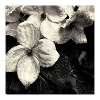 Foto 1 | Cuadro Decorativo - Flor De Cornejo No.3 - Gary Horsfall - Arte Floral - Impresión En Lienzo - Fine Art Tj