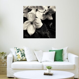 Foto 3 | Cuadro Decorativo - Flor De Cornejo No.3 - Gary Horsfall - Arte Floral - Impresión En Lienzo - Fine Art Tj