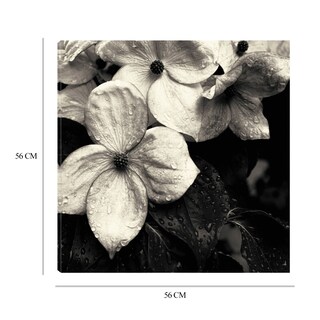 Foto 6 | Cuadro Decorativo - Flor De Cornejo No.3 - Gary Horsfall - Arte Floral - Impresión En Lienzo - Fine Art Tj