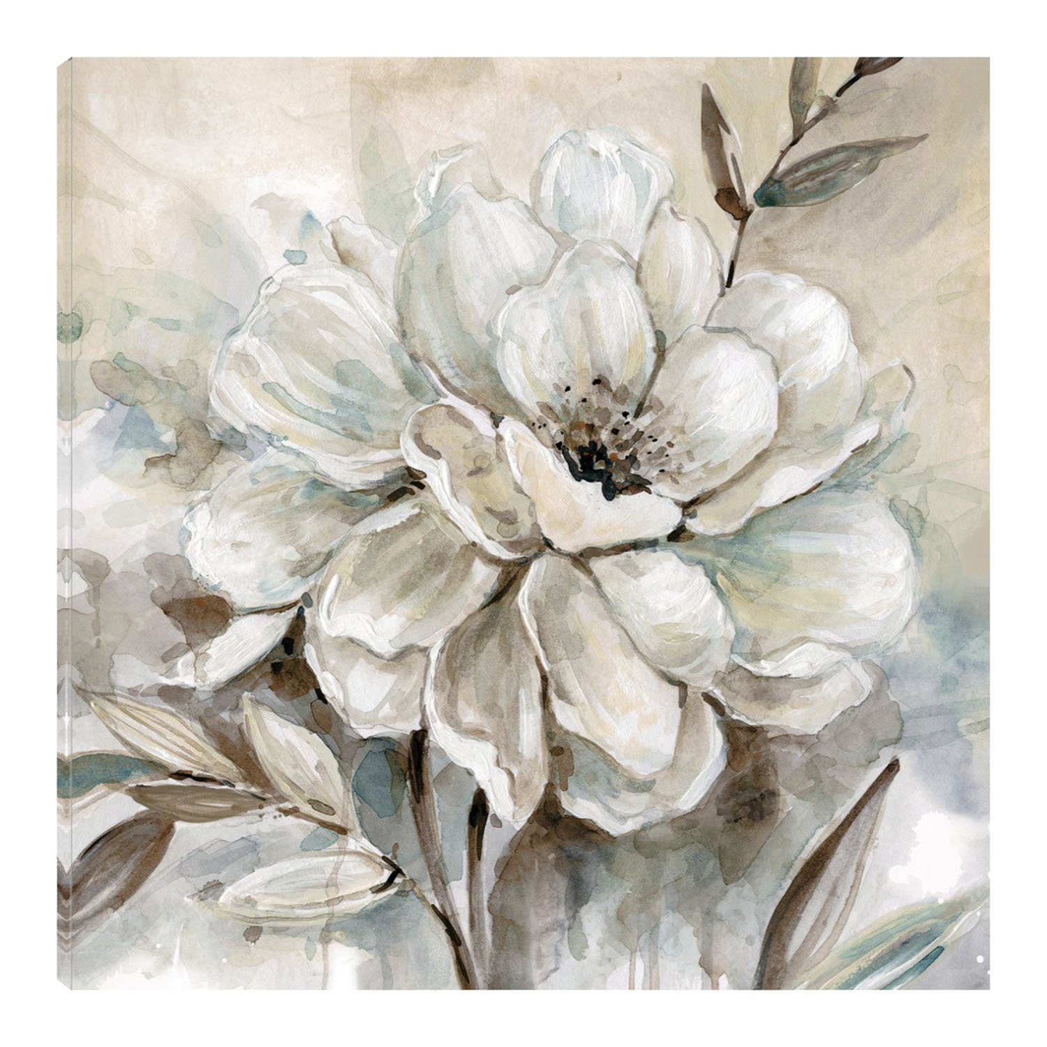 Cuadro Decorativo - Florecer Neutral I - Carol Robinson  - Arte Floral - Impresión En Lienzo - Fine Art Tj