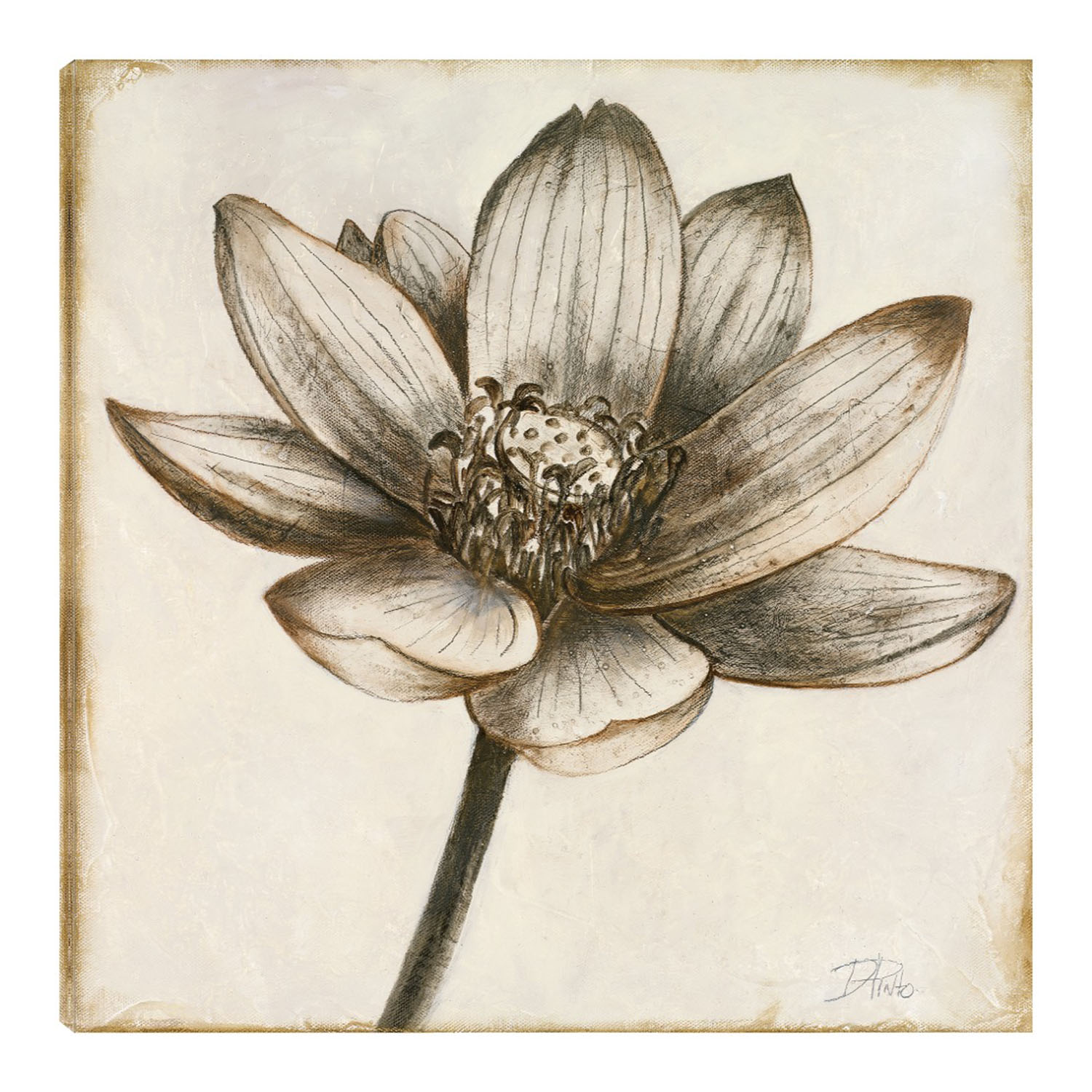 Foto 1 | Cuadro Decorativo - Loto En Sepia Ii - Fine Art Tj - Patricia Pinto - Arte Floral - Impresión en Lienzo