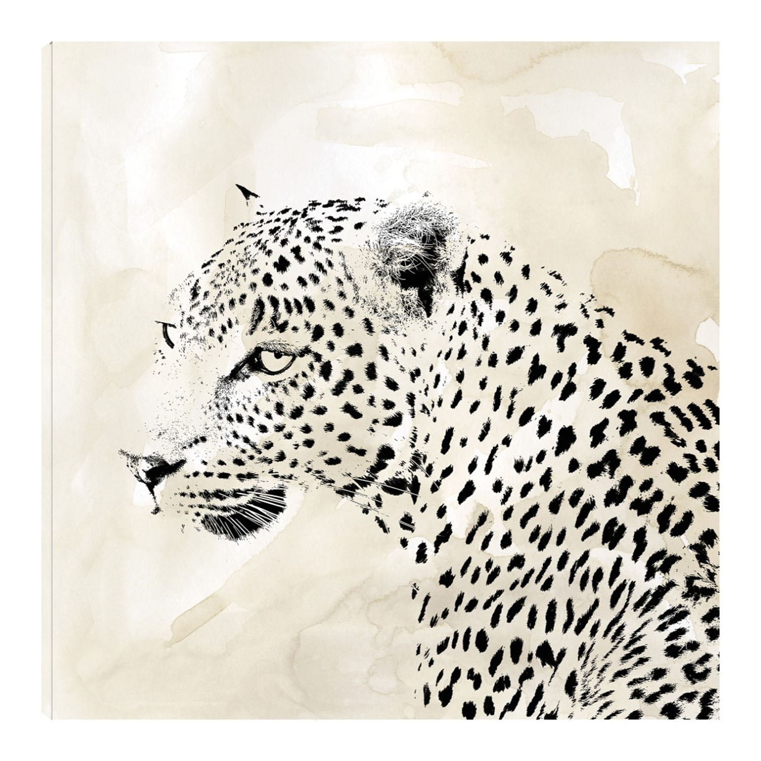 Cuadro Decorativo - Manchas De Leopardo Ii - Carol Robinson  - Arte Animales - Impresión En Lienzo - Fine Art Tj