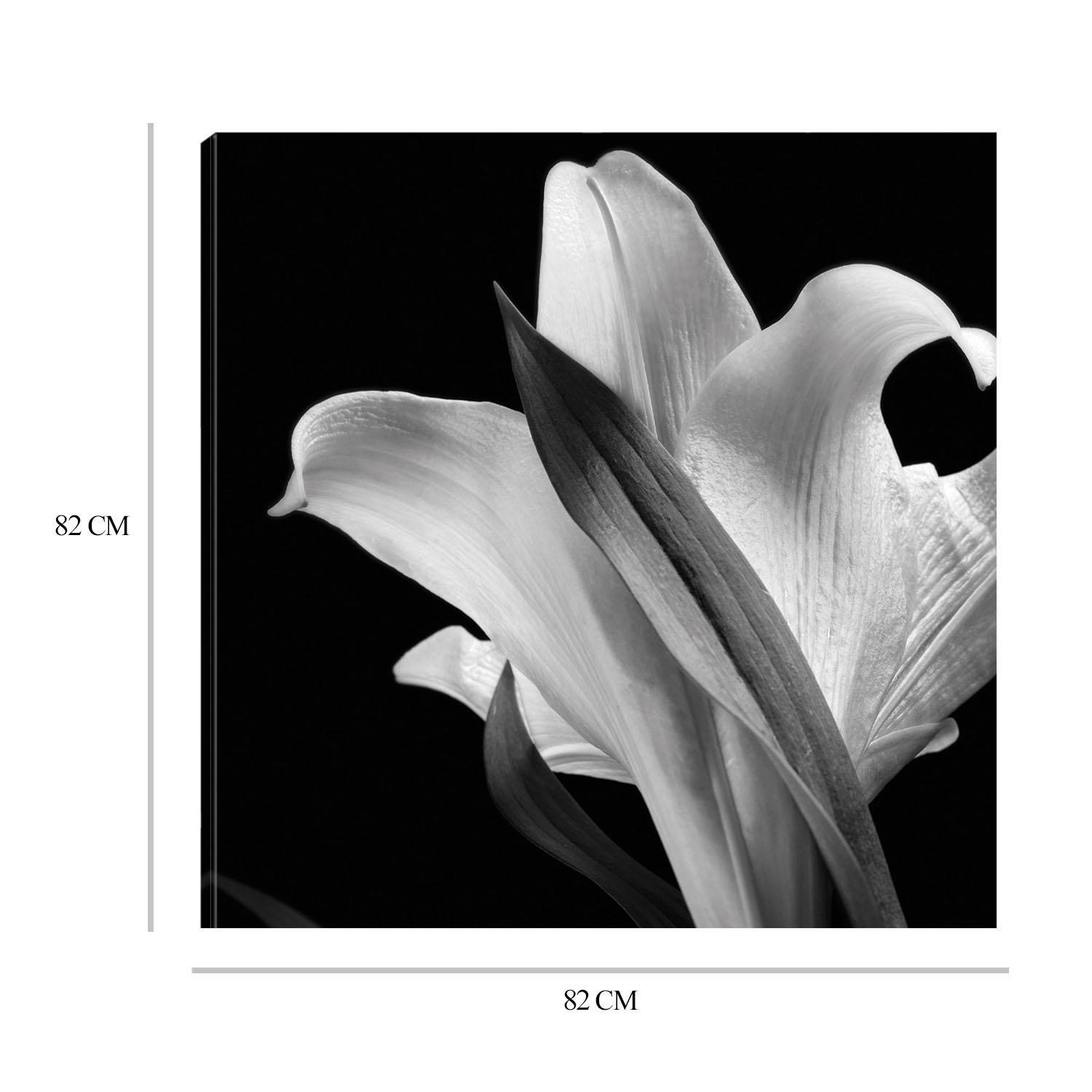 Foto 7 pulgar | Cuadro Decorativo Fine Art Tj Lirio Floral 73