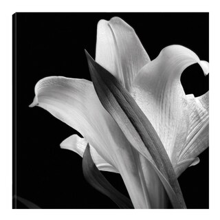 Foto 1 | Cuadro Decorativo - Lirio Floral 73 - Michael Harrison - Arte Floral - Impresión En Lienzo - Fine Art Tj