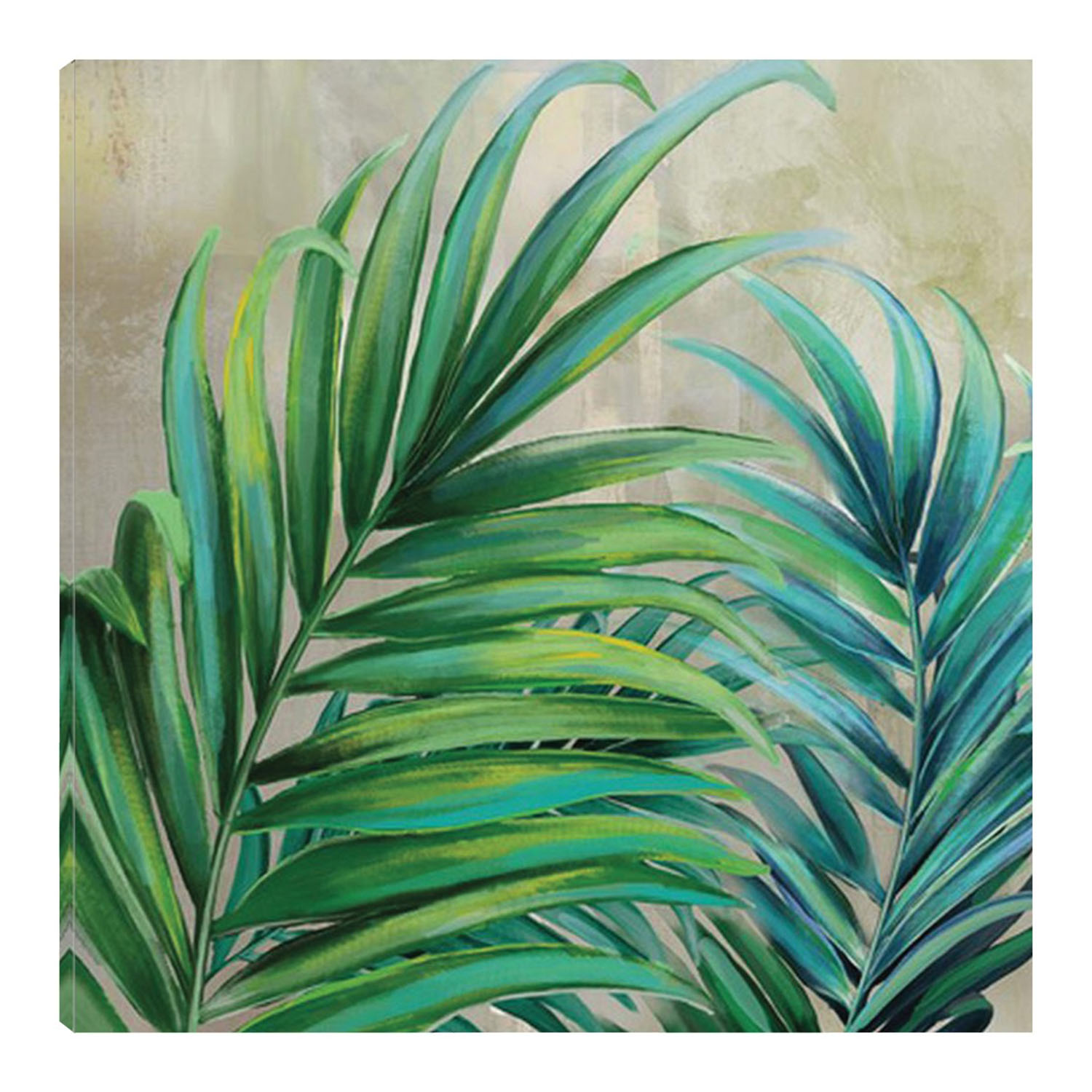 Cuadro Decorativo Fine Art Tj Frondas De Palmas Ii