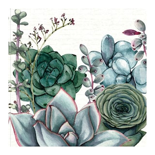 Foto 1 | Cuadro Decorativo - Jardín De Suculentas I - Susan Jill - Arte Moderno - Impresión En Lienzo - Fine Art Tj