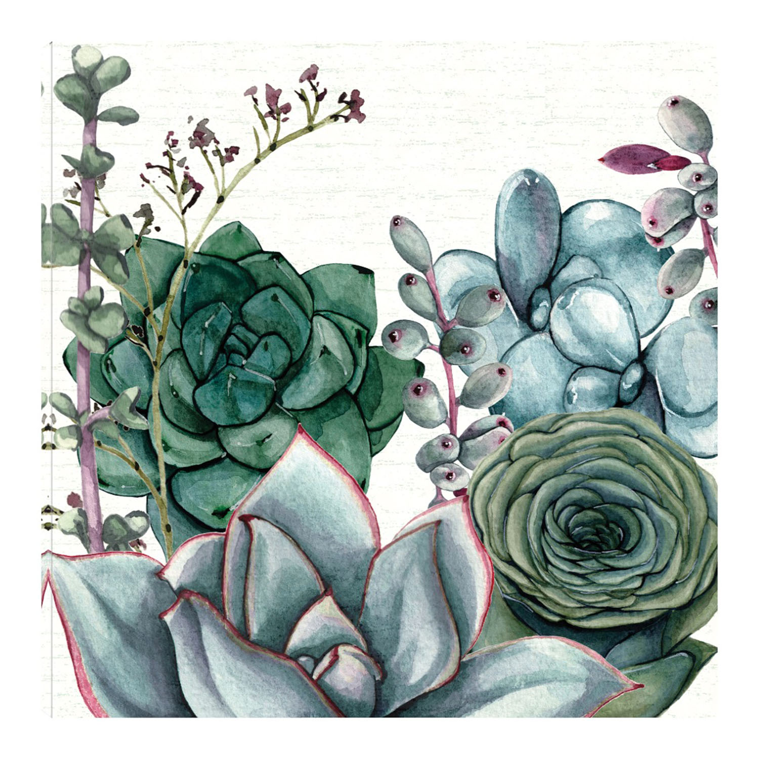 Cuadro Decorativo Fine Art TJ 'Jardín de Suculentas I' de Susan Jill 56 x 56 cm