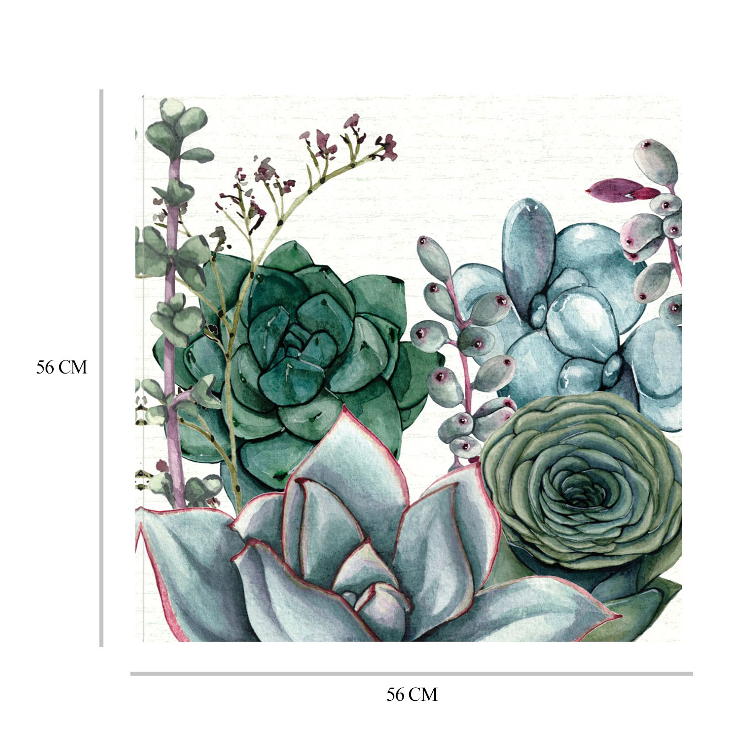 Foto 7 pulgar | Cuadro Decorativo Fine Art TJ 'Jardín de Suculentas I' de Susan Jill 56 x 56 cm