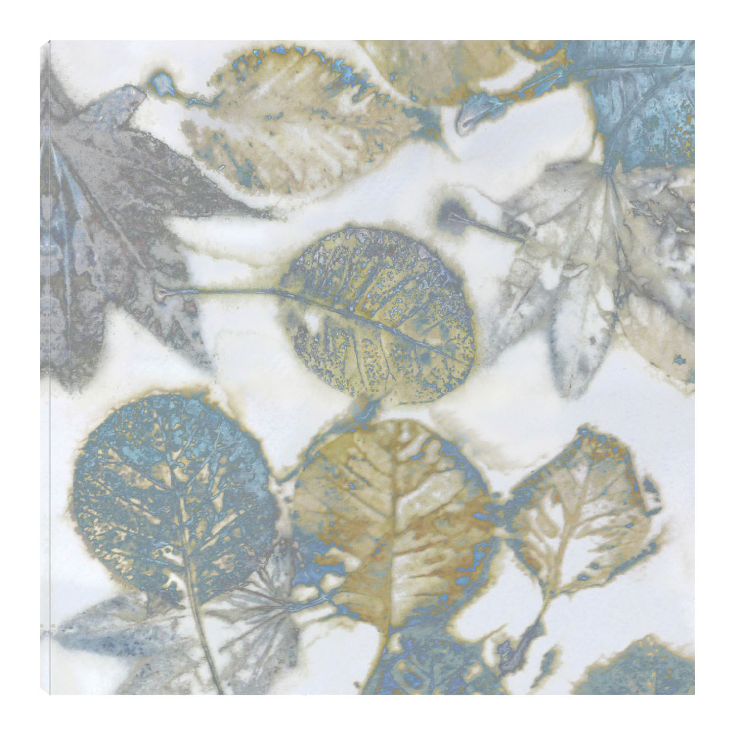 Cuadro Decorativo -  Fine Art Tj - Naturaleza Acuática II - Danielle Carson  - Arte Floral - Impresión En Lienzo