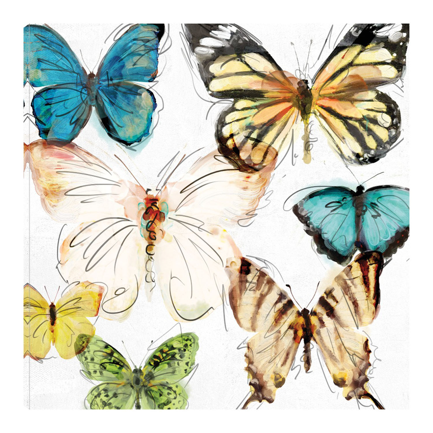 Cuadro Decorativo - Mariposas Ii - Studio Arts  - Arte Animales - Impresión En Lienzo - Fine Art Tj