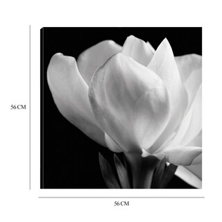 Foto 6 | Cuadro Decorativo - Gardenia - Michael Harrison - Arte Moderno - Impresión En Lienzo - Fine Art Tj