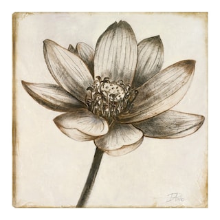 Foto 1 | Cuadro Decorativo - Loto En Sepia Ii - Patricia Pinto - Arte Floral - Impresión En Lienzo - Fine Art Tj
