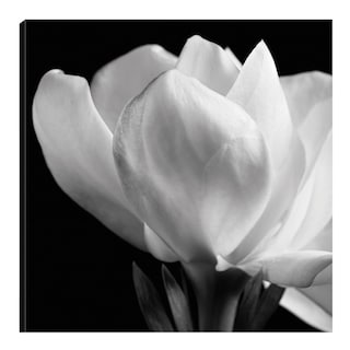 Foto 1 | Cuadro Decorativo - Gardenia - Michael Harrison - Arte Moderno - Impresión En Lienzo - Fine Art Tj