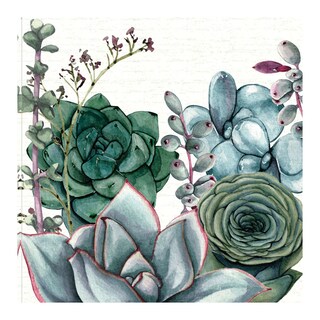 Foto 1 | Cuadro Decorativo - Jardin De Suculentas I - Susan Jill - Arte Moderno - Impresión En Lienzo - Fine Art Tj