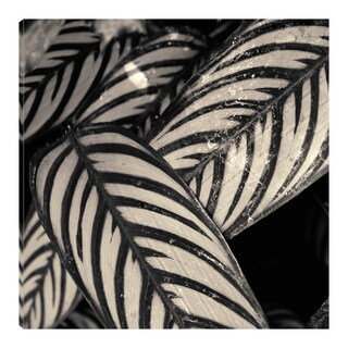 Foto 1 | Cuadro Decorativo Fine Art Tj Hojas Jaspeadas No. 2 Gary Horsfall Arte Moderno Impresión en Lienzo