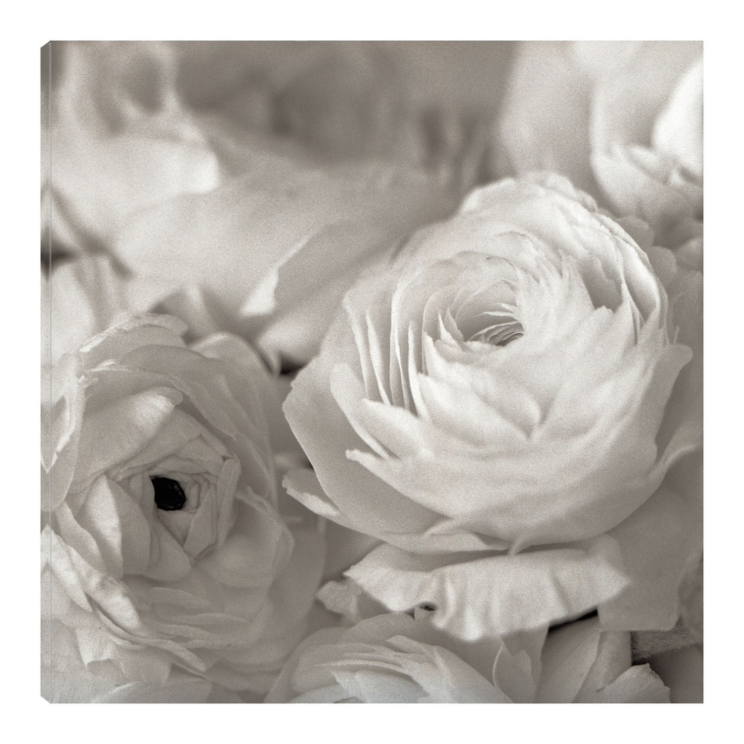 Foto 1 | Cuadro Decorativo Fine Art TJ 'Florison #47' de Alan Blaustein 82 x82 cm