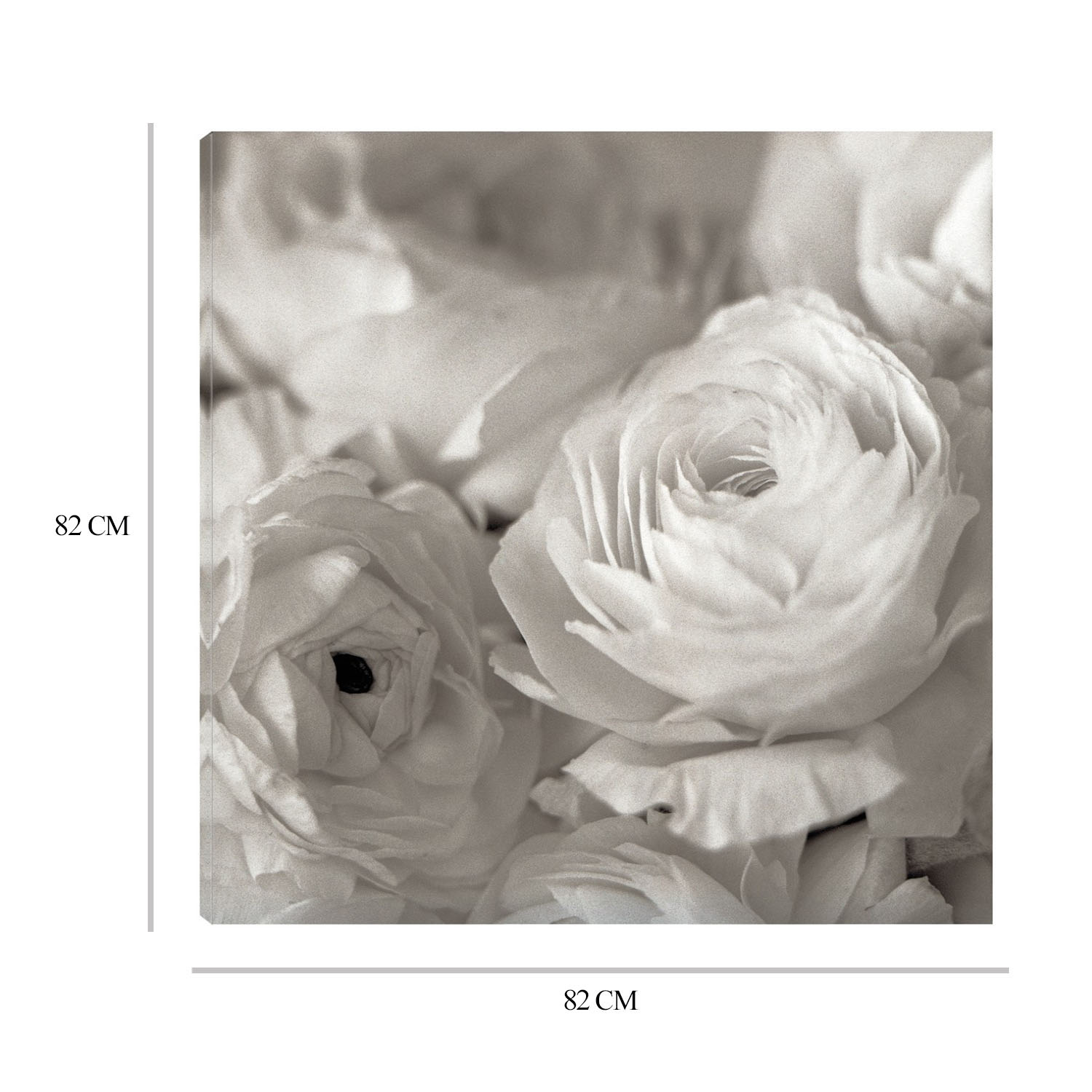 Foto 6 | Cuadro Decorativo Fine Art TJ 'Florison #47' de Alan Blaustein 82 x82 cm