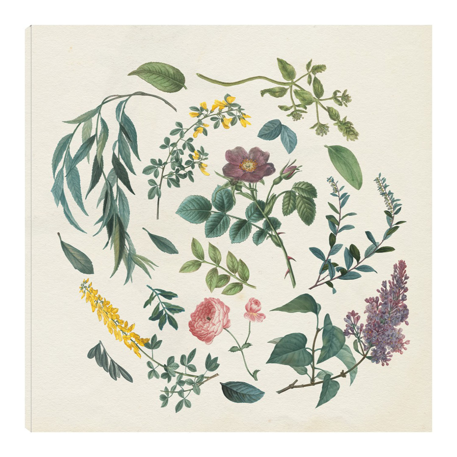 Cuadro Decorativo Fine Art Tj Jardin Victoriano I